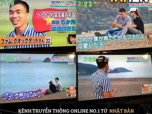 Chàng trai được truyền hình Nhật tạo điều kiện tỏ tình với crush nhưng cả buổi chỉ nói về lợn: 'Ế đúng là bằng thực lực!'