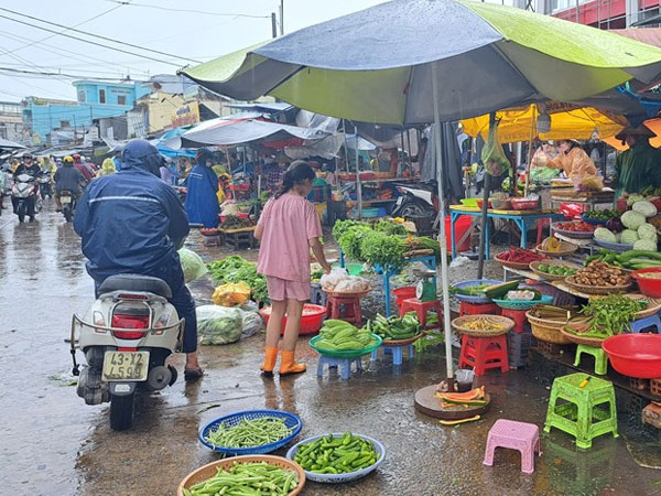 Phú Quốc mưa lớn, hành lá vọt lên 300.000đ/kg, rau muống 60.000đ/kg