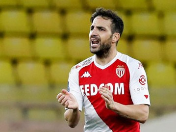 Fabregas đầu quân cho CLB ở Serie B