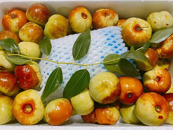 Hồng táo Trung Quốc đổ chợ, 550 nghìn/kg vẫn siêu đắt khách