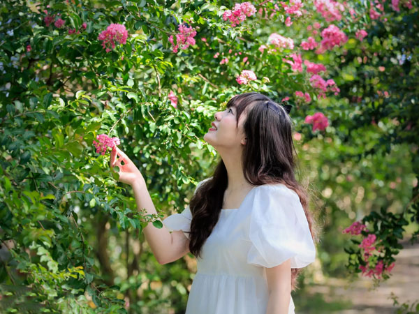 Lặn lội từ 6h sáng để có mặt ở Hà Nội chụp ảnh với hoa tường vi