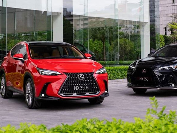 Sau Toyoya Land Cruiser, tới lượt Lexus NX tạm ngừng nhận đặt hàng
