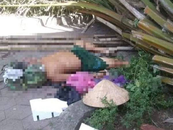 Ngồi trong công viên, người đàn ông bị cây cọ dừa đổ đè tử vong