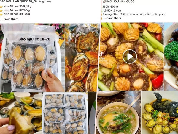 Sự thật bào ngư Hàn Quốc giá rẻ, nguồn gốc đáng ngờ