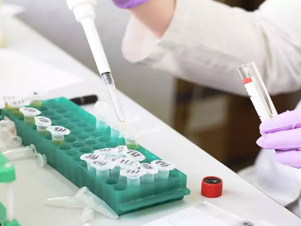 WHO thông báo về 2 ca tử vong do loại virus lây nhiễm chưa có vắc xin