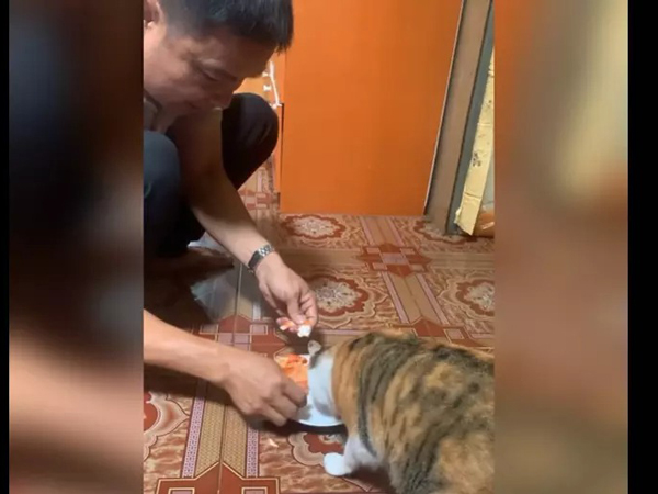 Đi ăn cỗ lấy phần về, bố vội bóc vỏ tôm cho 'con gái cưng' ăn khiến con trai sững sờ: 'Con có phải con ruột không vậy?'