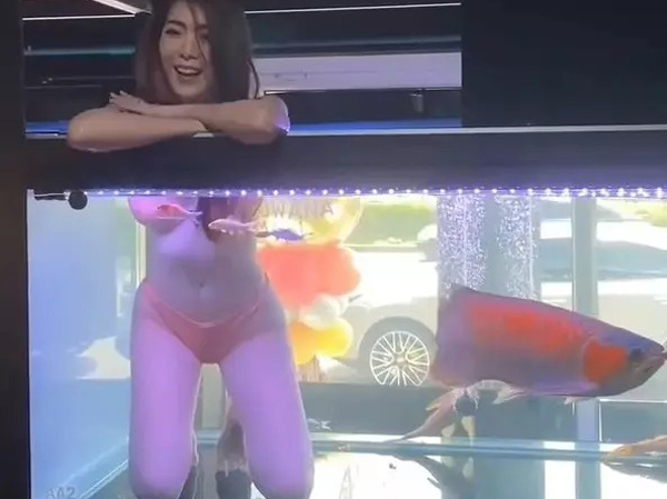 Cửa hàng để các cô gái mặc hở hang ngâm mình trong bể cá