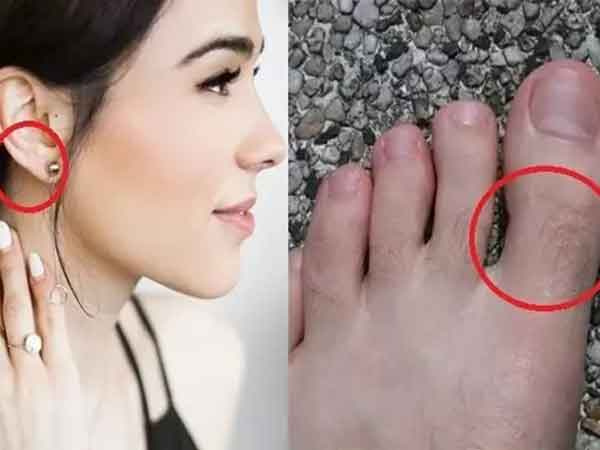 Lông mọc ở 5 vị trí báo hỷ tín tới nhà, niềm vui tới tấp viên mãn