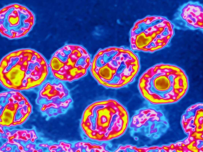 Thêm hai người được tuyên bố khỏi HIV
