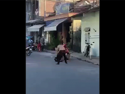 Pitbull tấn công chó nhà, dân mạng đồng loạt phản ứng: 'Nếu đấy là trẻ con sự việc sẽ ra sao ?'