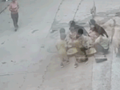 Bé trai bị chó hoang tấn công và màn 'hộ giá' dũng mãnh của chú chó nhà