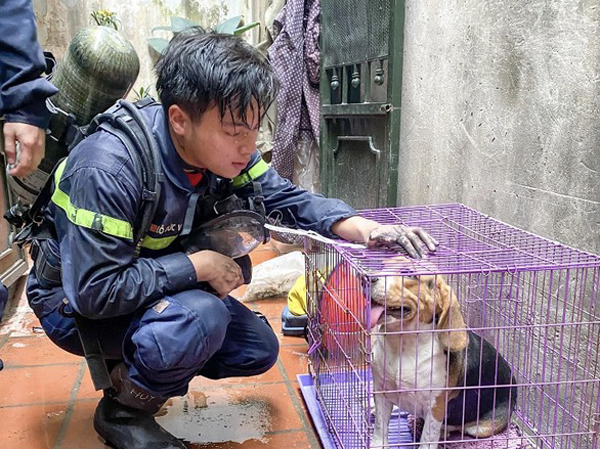 Từ anh lính cứu hỏa tập sự gánh rau giúp cụ già đến người hùng hy sinh quên thân mình: Mãi dừng lại ở tuổi 24