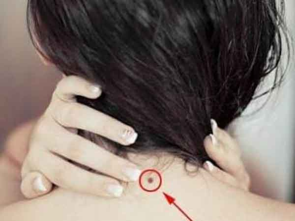 Ảnh bìa bài viết 834971