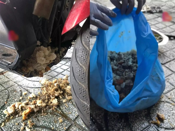 Khách nữ mang xe máy ra rửa hồn nhiên khen tay nghề xịn, thợ hốt hoảng như xem phim kinh dị