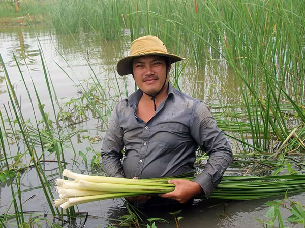 Anh nông dân làm chuyện ngược người khác, không ngờ thu bộn tiền