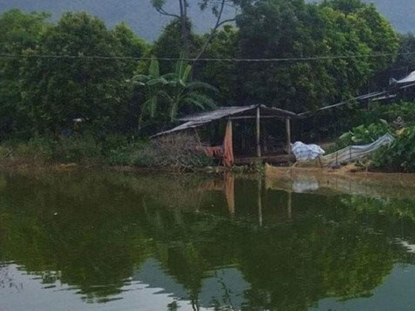 Bố mẹ làm ăn xa, 2 anh em ruột chết đuối thương tâm khi ra ao tắm