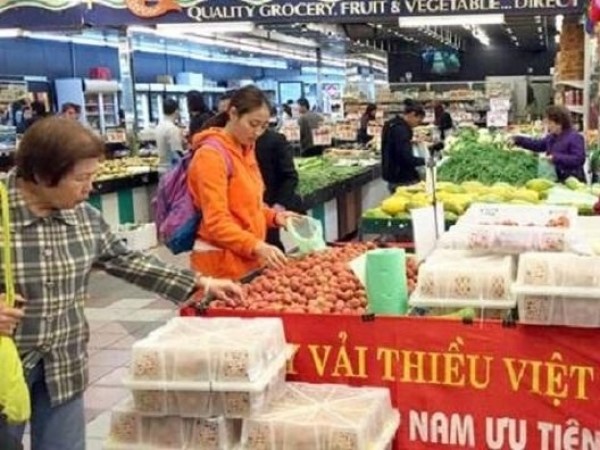 Hàng hóa Việt Nam xuất khẩu vào Australia gặp khó