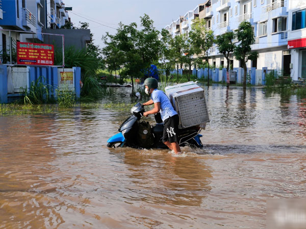 Sau mưa hai ngày, nước vẫn ngập sâu 70 cm ở khu biệt thự vùng ven Hà Nội