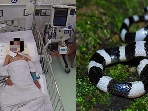 'Chúng tôi đã dùng đến những lọ huyết thanh cuối cùng cứu cháu bé'