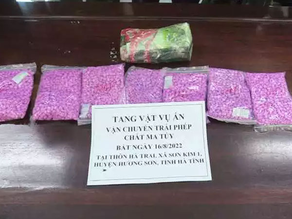 Lái ô tô chở 1kg ketamin, 7.500 viên ma túy từ Lào sang Việt Nam