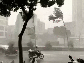 CLIP: Mưa lớn kèm gió to, như kéo bay cả người được