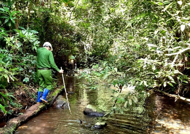 Lạnh người nghe kể về khu rừng nơi phát hiện 2 bộ xương người trên võng