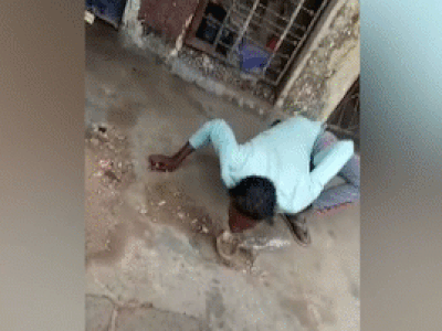 Video: Cố tình hôn rắn hổ mang, người đàn ông nhận cái kết kinh hoàng