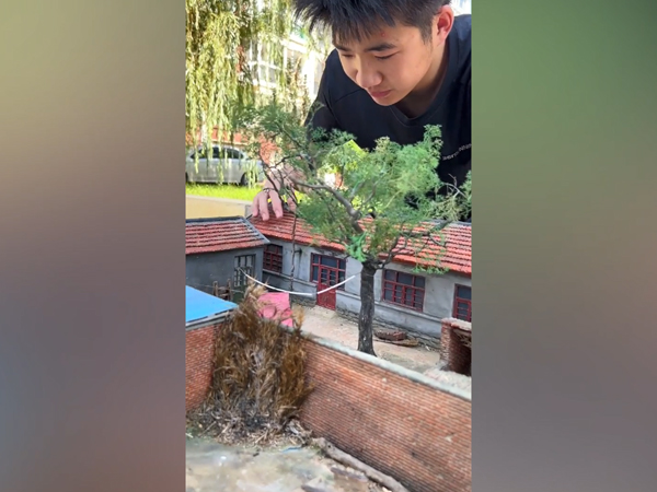 Độc đáo với mô hình 'ngôi nhà thời thơ ấu' sống động như thật