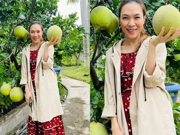 Mỹ Tâm lộ bụng chuẩn bà bầu?