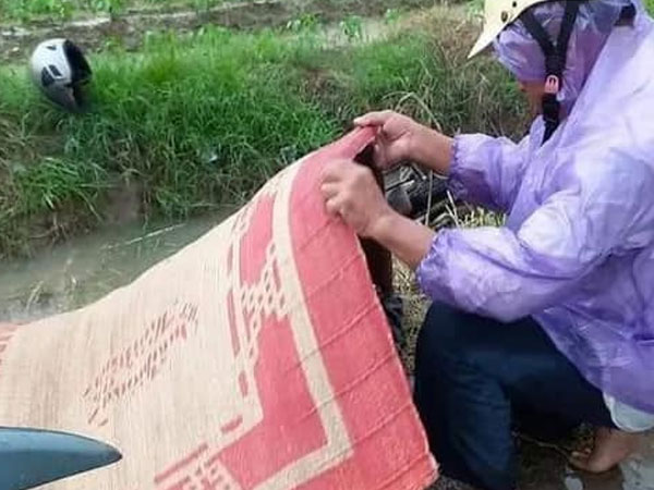 Hải Phòng: 2 người thương vong do sét đánh