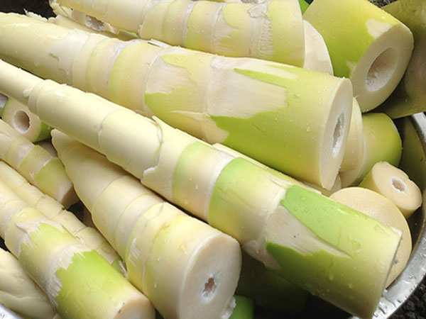 Điểm mặt các thực phẩm chứa chất cực độc, là ‘sát thủ’ thầm lặng trong nhà bếp ít ai chú ý