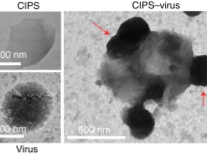 Trung Quốc phát triển vật liệu nano hứa hẹn diệt mọi biến thể SARS-CoV-2