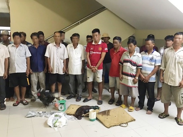 Triệt xoá trường gà vùng ven TP.HCM