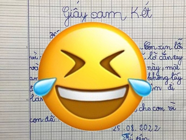 Cười đau ruột với bản cam kết 'nuôi anh hai' của bé gái lớp 1 khi lỡ tay gây ra chuyện 'tày đình'