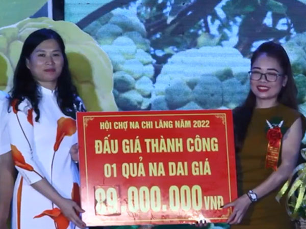 Vì sao 3 quả na có giá tới 159 triệu đồng?
