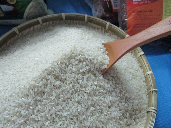 Gạo sẽ tăng giá mạnh từ động thái bất ngờ của Ấn Độ?