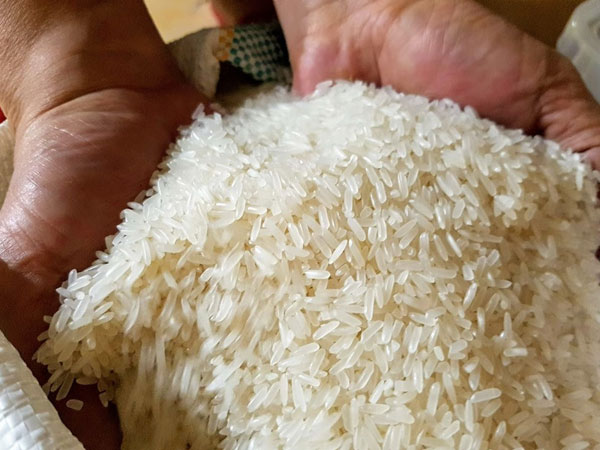 Ấn Độ cấm xuất khẩu, gạo Việt Nam tăng giá từng ngày