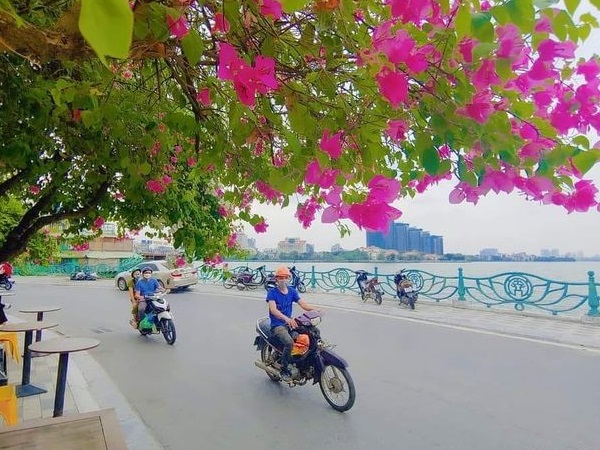 Ảnh bìa bài viết 841821