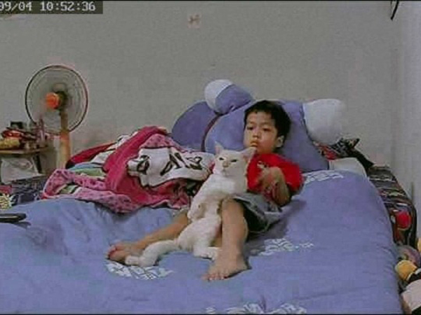 Mua mèo cho con trai để cậu bé 'cai nghiện' tivi, mẹ choáng váng khi thấy kết quả qua camera