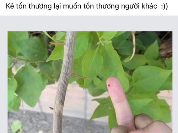 Công an vào cuộc xác minh vụ cô giáo mầm non lấy gai bưởi châm vào học sinh