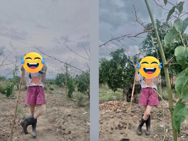 'Tiểu thư' Tina Dương lên kế hoạch 'come-back' hậu ồn ào: Sẽ đi bán cà phê dạo, làm từ thiện để trả nợ