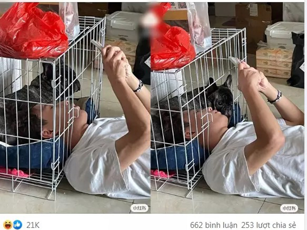 Ỏng eo ghét thú cưng leo lên giường nhưng khi mua chó về thanh niên chui hẳn vào chuồng tâm sự cùng chó