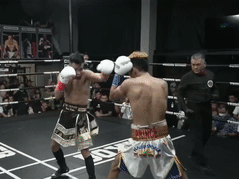 Một đấm hạ knock-out đối thủ, võ sĩ Việt Nam vô địch đai IBA thế giới