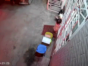 Dựng tóc gáy với pha lùi xe của thanh niên và hành động sau đó khiến tất cả đều phẫn nộ