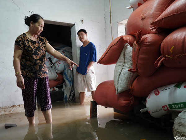 Lũ lên nhanh, dân khóc ròng xót hơn 20 tấn thóc bị nhấn chìm