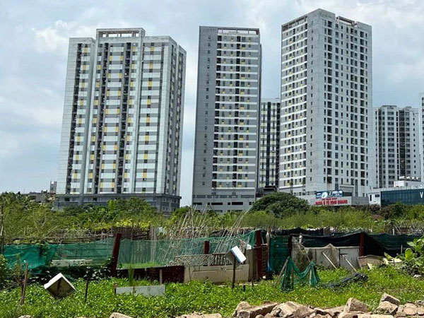 Chủ tịch Hà Nội Trần Sỹ Thanh quyết 'đòi' đất bỏ hoang để xây trường học
