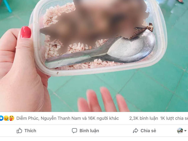 Xác minh được người đăng bức ảnh 'học sinh mang cơm với thịt chuột'