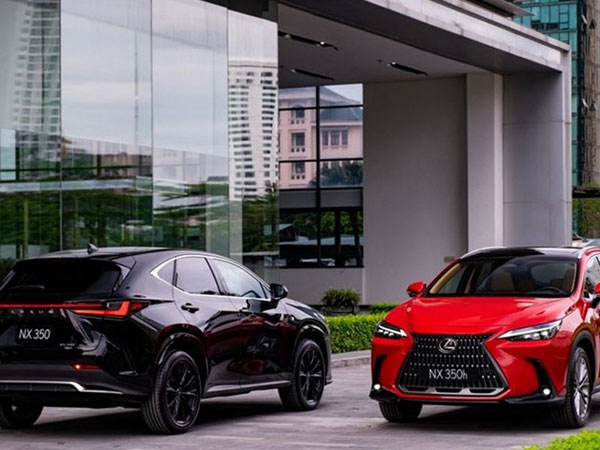 Triệu hồi loạt xe sang Lexus NX350 tại Việt Nam dính lỗi nguy hiểm