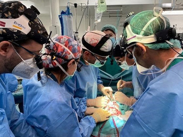 Ca ghép ruột đầu tiên trên thế giới từ người hiến đã chết vì suy tim