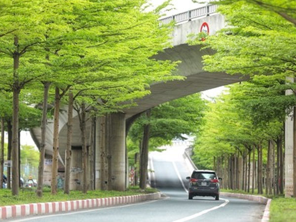 Bộ Công an yêu cầu định giá cây xanh các loại trên địa bàn Hà Nội giai đoạn 2016-2018